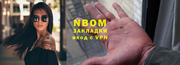 стафф Алзамай