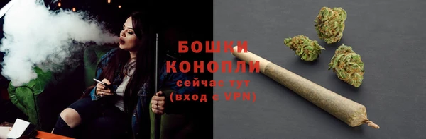 бошки Алексин