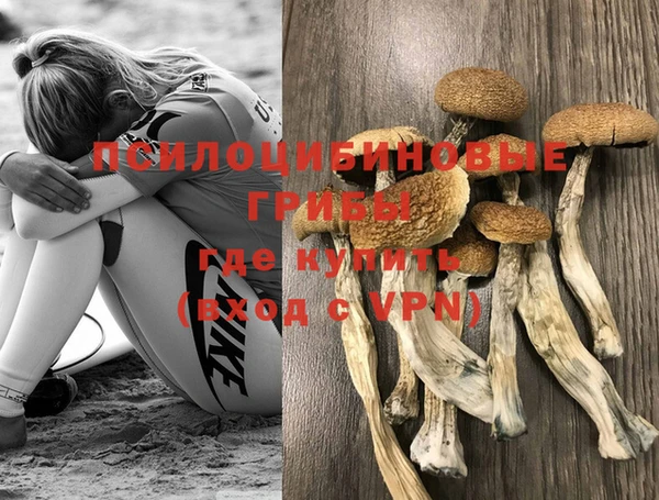 бошки Алексин