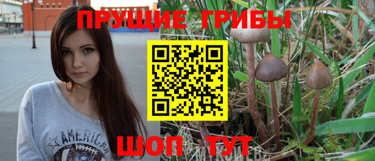 Абакан  Галлюциногенные грибы мухоморы  Вход с VPN 