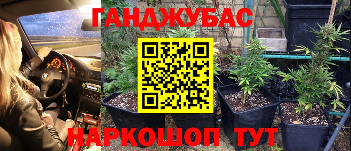 Бошки Шишки семена Абакан